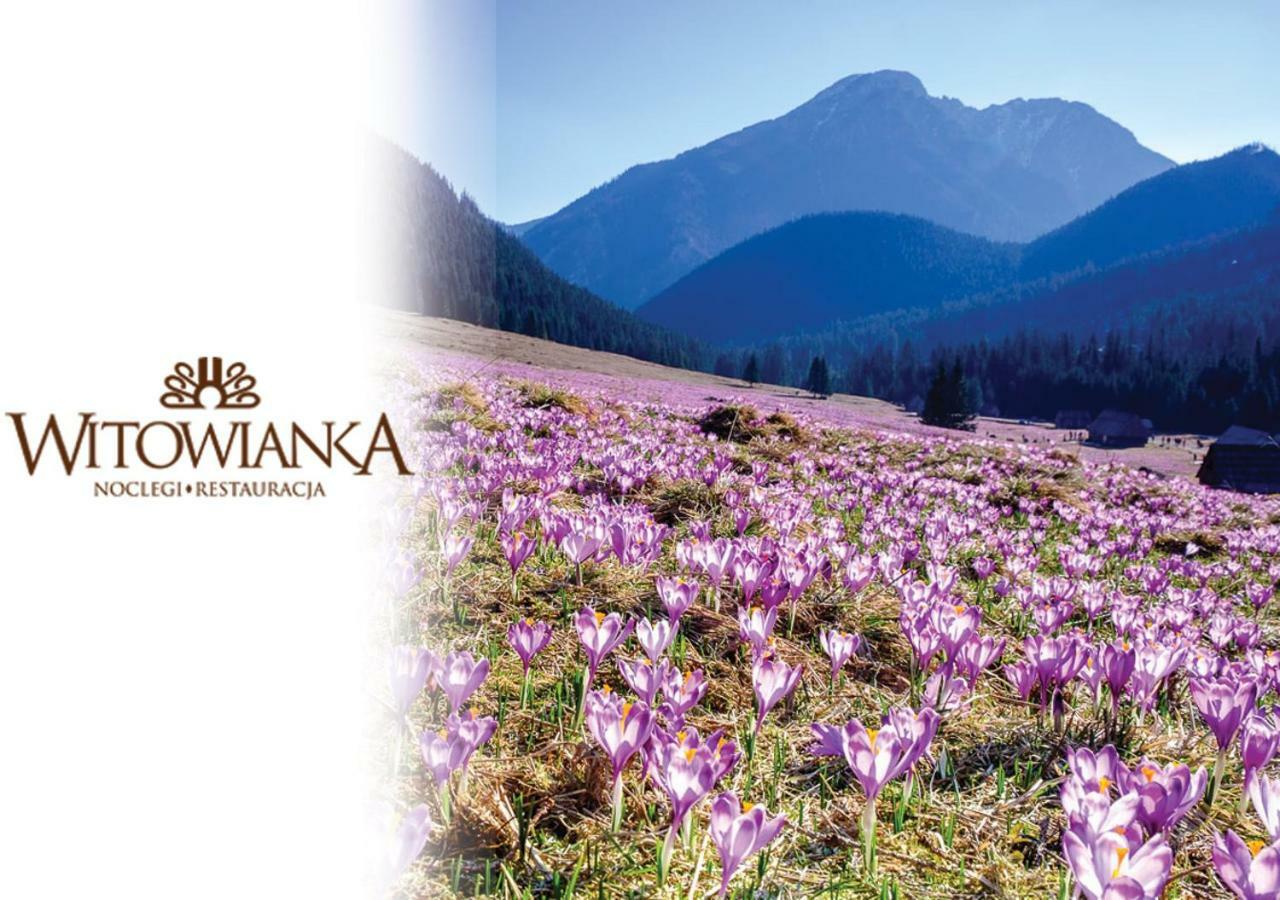 Witowiankaアパートメント エクステリア 写真